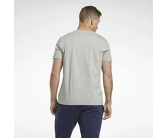 Reebok Marškinėliai Vyrams Identity Small Log Pilkas 100064838