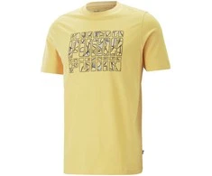 Puma Marškinėliai Vyrams Graphics Summer Tee Geltona 674482 40