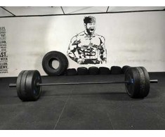 Bumper svarmenų ir štangos komplektas STRONGMAN Premium (Svoris: 150 kg)