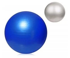 Gimnastikos kamuolys SPORTBAY® 55 cm (Spalva: Mėlyna)