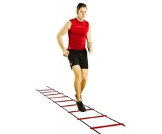 Greičio kopetėlės GYMSTICK Speed Ladder
