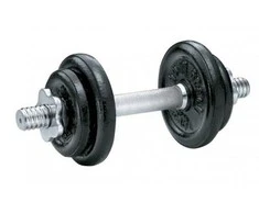 Ketaus svarmuo / hantelis SPORTBAY 10 kg