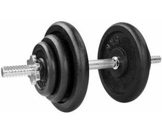 Ketaus svarmuo / hantelis SPORTBAY 20 kg