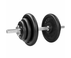 Ketaus svarmuo / hantelis SPORTBAY 20 kg