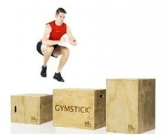 Platforma GYMSTICK Medinė Plyobox