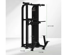 None Jėgos staklės TUNTURI Platinum Dual Assisted Chin Up / Dip Selectorized V-series