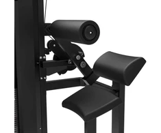 Jėgos staklės TUNTURI Platinum Dual Back / Abdominal Combo Selectorized V-series
