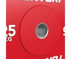 Svarmenys TUNTURI Platinum Bumper Plate Colour (5–25 kg) (Svoris: 25 kg)