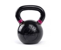 Svarstis Tiguar RAW 24kg V2