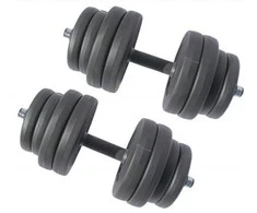 Hantelių rinkinys SPORTBAY 2 x 15 kg