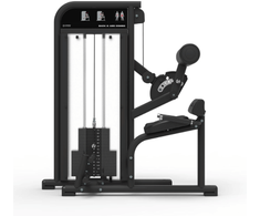 Treniruoklis Gymstick Back &amp; Abs Combo PRO 511M