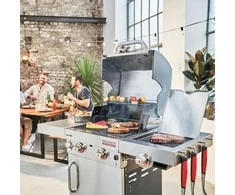 Dujinis grilis Char-Broil Professional Pro S 2