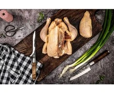 Japoniško plieno peilis STYLE DE VIE, VG10 Forged, Boning, 16 cm (iškaulinimo)