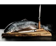 Žuvies filiavimo peilis Forged Olive 18cm