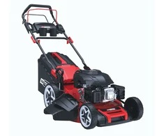 AW-Tools AWTOOLS savaeigė benzininė vejapjovė AW70078 4,4 kW 6,0 AG