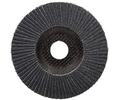 Bosch Šlif.pop.met.top.kamp.šli D=125 mm,K 40,1 vnt.