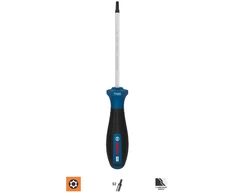 Stabilus Bosch PRO Atsuktuvas TH20 x 100 mm