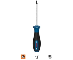 Stabilus Bosch PRO Atsuktuvas TH25 x 100 mm
