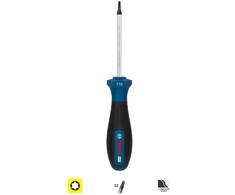 Teng Tools Bosch PRO Atsuktuvas TX10 x 75 mm