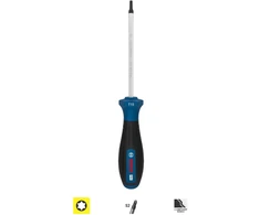 Stabilus Bosch PRO Atsuktuvas TX15 x 100 mm
