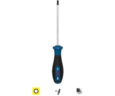 LPR Bosch PRO Atsuktuvas TX30 x 125 mm