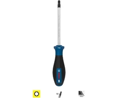 LPR Bosch PRO Atsuktuvas TX40 x 125 mm