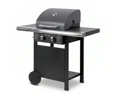 Master Grill Dujinė kepsninė MASTER MG669 su 2 degikliais