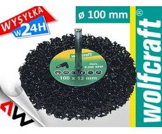 WOLFCRAFT UNIVERSALUS DISKINIS ŠEPETĖLIS 100mm BOTAS 6mm