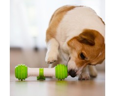 Doggy Village Rolling Bone Mobilus, riedantis, interaktyvus kaulinis žaislas vidutiniams ir dideliems šunims