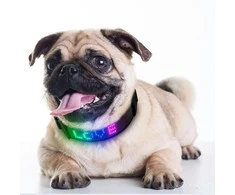 Doggy Village Programuojamas / interaktyvus antkaklis su spalvotu LED ekranu vidutiniams ir dideliems šunims