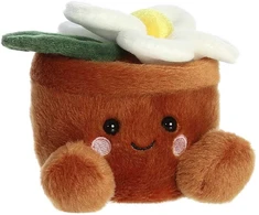 PALM PALS AURORA Pliušinė ramunėlė, 12 cm