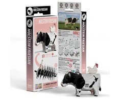 EUGY 3D kartoninis modelis „Holšteino karvė“