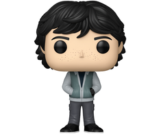FUNKO POP! Vinilinė figūrėlė: Stranger Things - Mike Wheeler, 9 cm