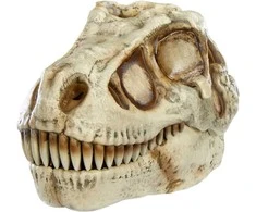 MGA GROSSMOS Interaktyvus rinkinys Dino