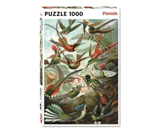PIATNIK Dėlionė 1000 vnt. - Ernst Haeckel: Kolibriai