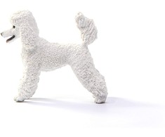 Schleich figūrėlė Pudelis