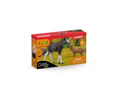SCHLEICH „Wild Life“ Rinkinys - Briedžio patelė su briedžiuku
