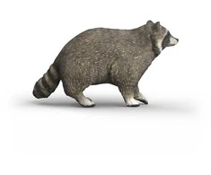 SCHLEICH WILD LIFE Meškėnas