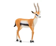 SCHLEICH WILD LIFE Tomsono gazelė