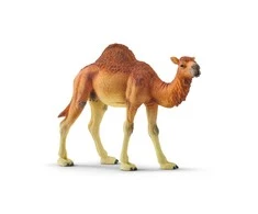 Schleich figūrėlė Vienkupris kupranugaris