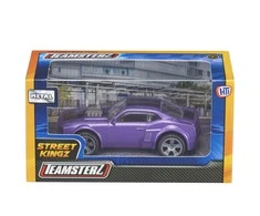 TEAMSTERZ Automobilis