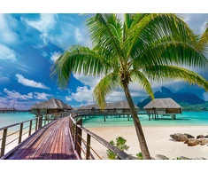 Trefl Dėlionė 1000 vnt. - Bora Bora