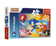 Trefl dėlionė 60 vnt. - Sonic