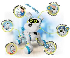 XTREM BOTS XTREAM BOTS Interaktyvus robotas „Bobby“
