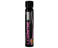 Biotech L-Carnitine 3000 25 ml. (Apelsinų skonis)