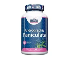 Haya Labs Andrographis Paniculata (Skėstašakių kamrų ekstraktas) 60 kaps.