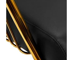 Activeshop Kirpyklos kėdė GABBIANO HAIRDRESSING CHAIR LILLE GOLD Juodas