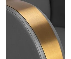 Activeshop Kirpyklos kėdė GABBIANO PROFESSIONAL HAIRDRESSING CHAIR MALAGA GOLD Pilkas