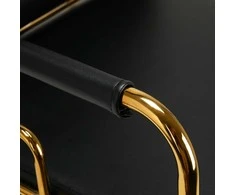 Activeshop Kirpyklos plautuvė GABBIANO PROFESSIONAL HAIRWASHER PRATO GOLD Juodas