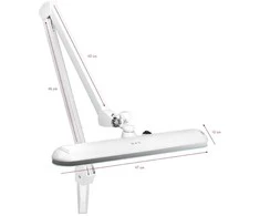 Activeshop Kosmetologinė LED lempa Elegante 1-12W Baltas (montuojama ant stalo)